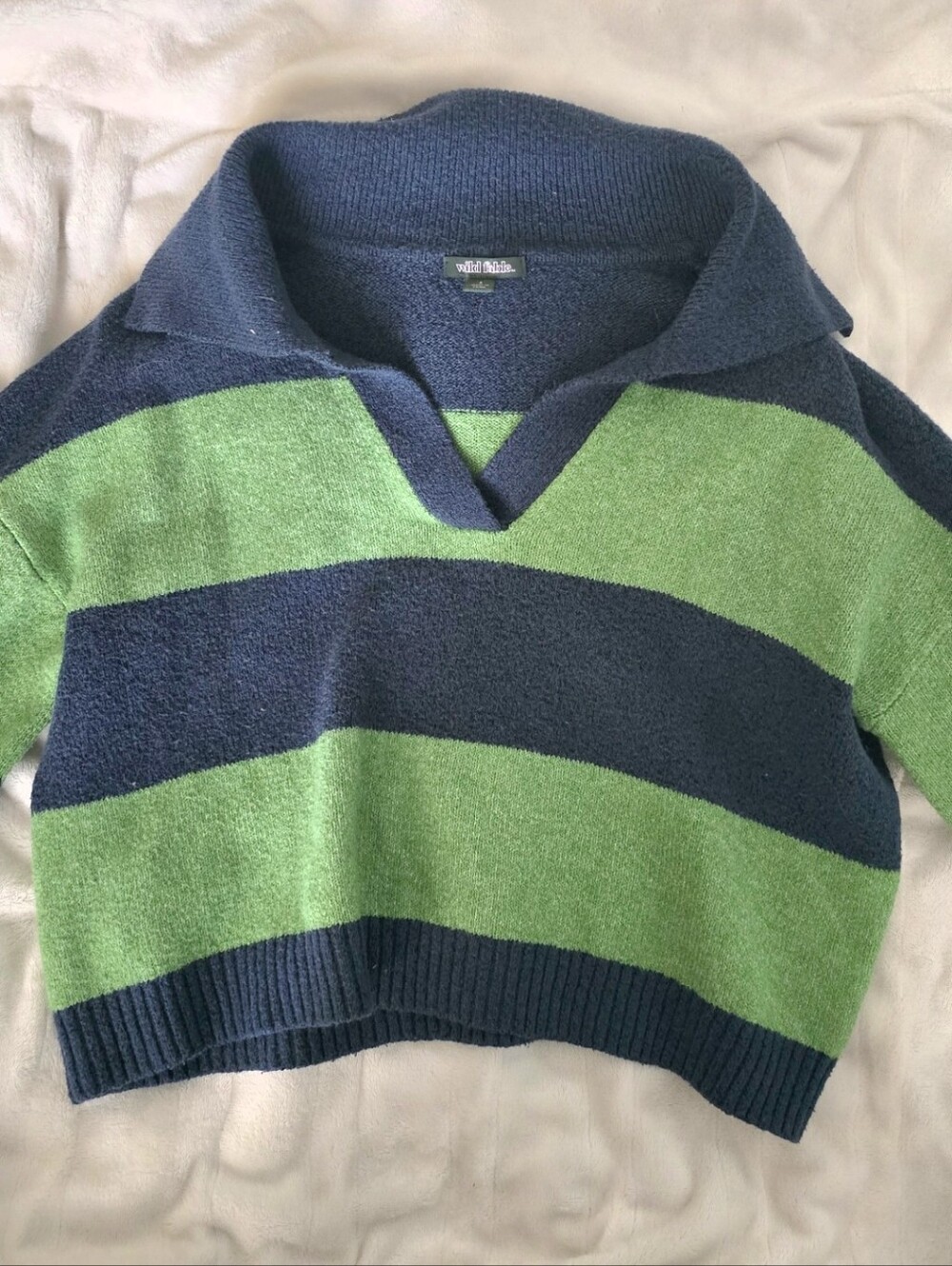 Wild Fable Collared Sweater in Navy and Green